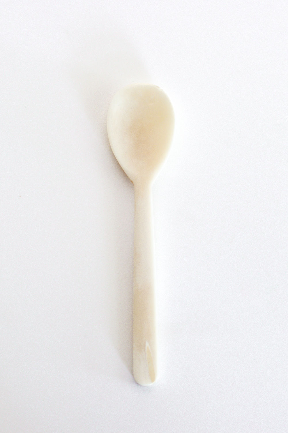 Bone Spoon